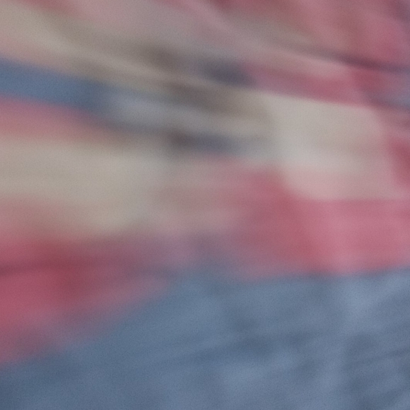 Shorts - Picture 4 of 4